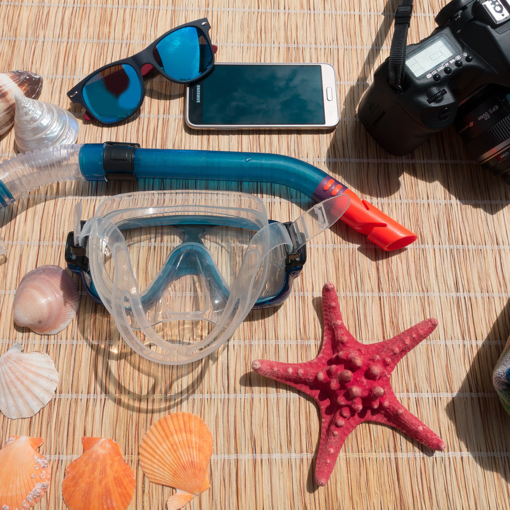 Want to Experience an Amazing Snorkel?